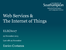 04_web_services_and_IoT.pdf
