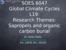 L19 Research themes, Sapropels and organic carbon and burial